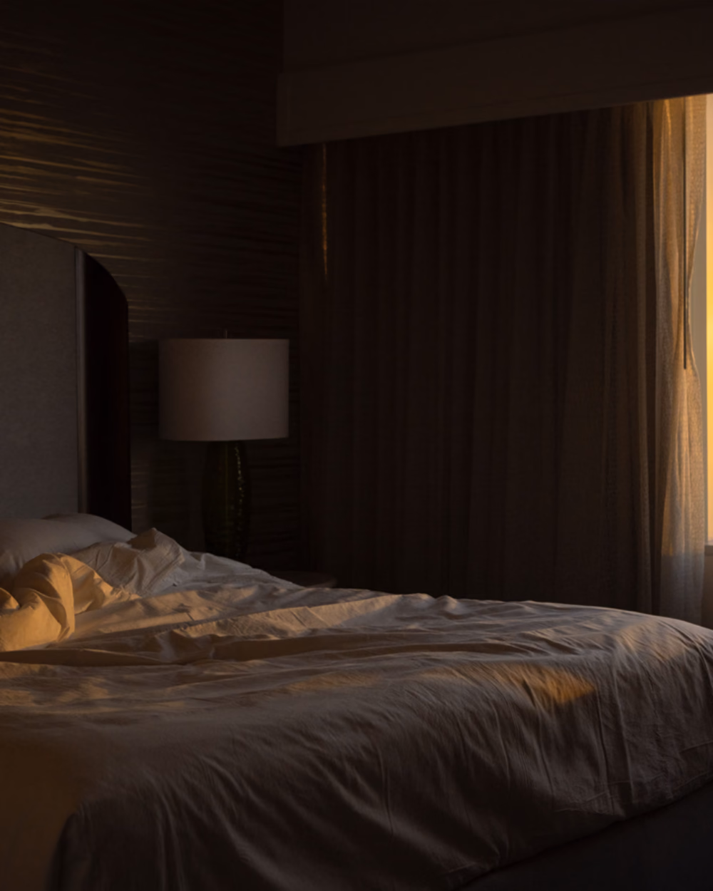 Featured image for Humidifiers Compared: Bedroom, Large Room, No White Dust