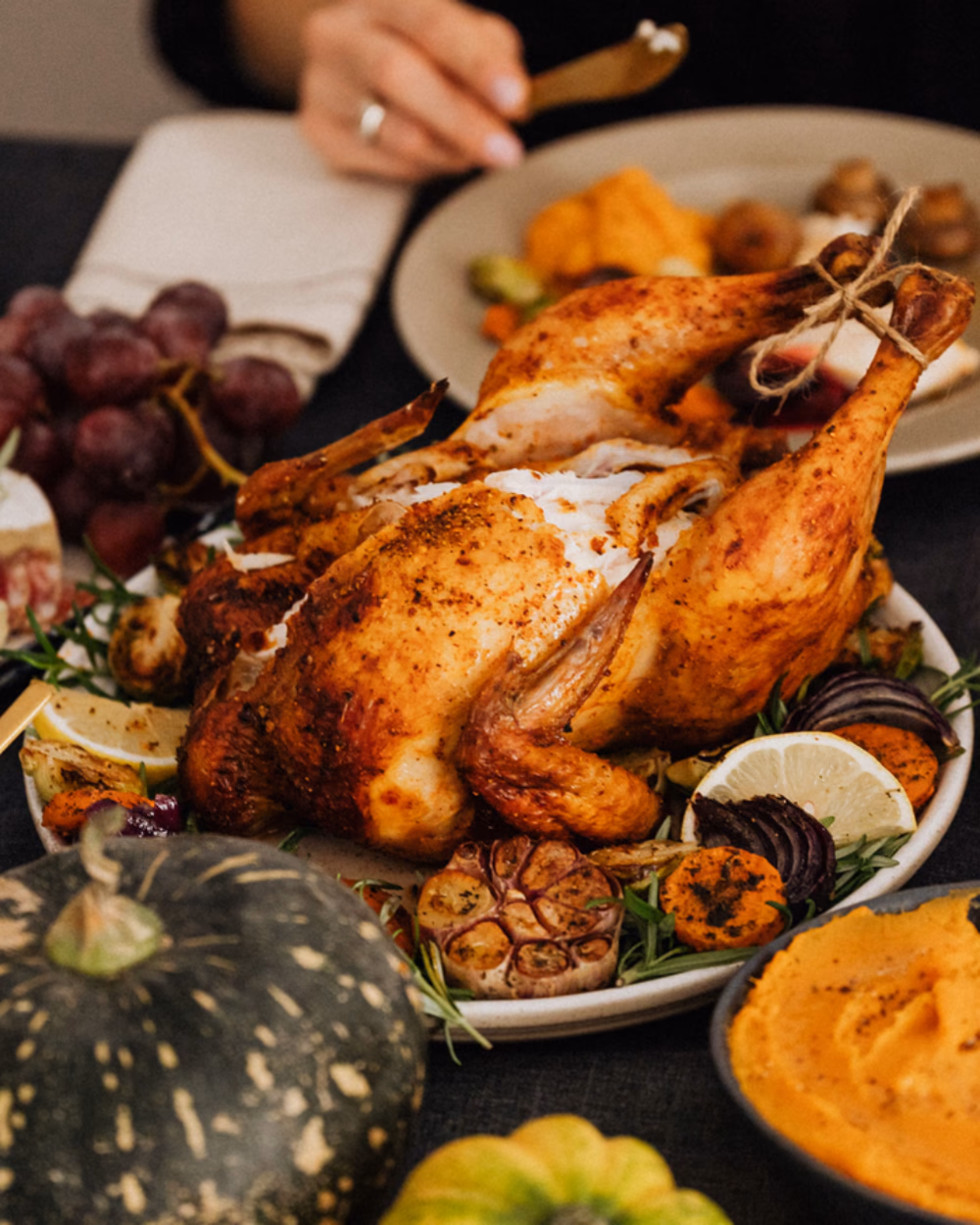 Featured image for Roasting Pans for Turkey: Stainless Against Nonstick