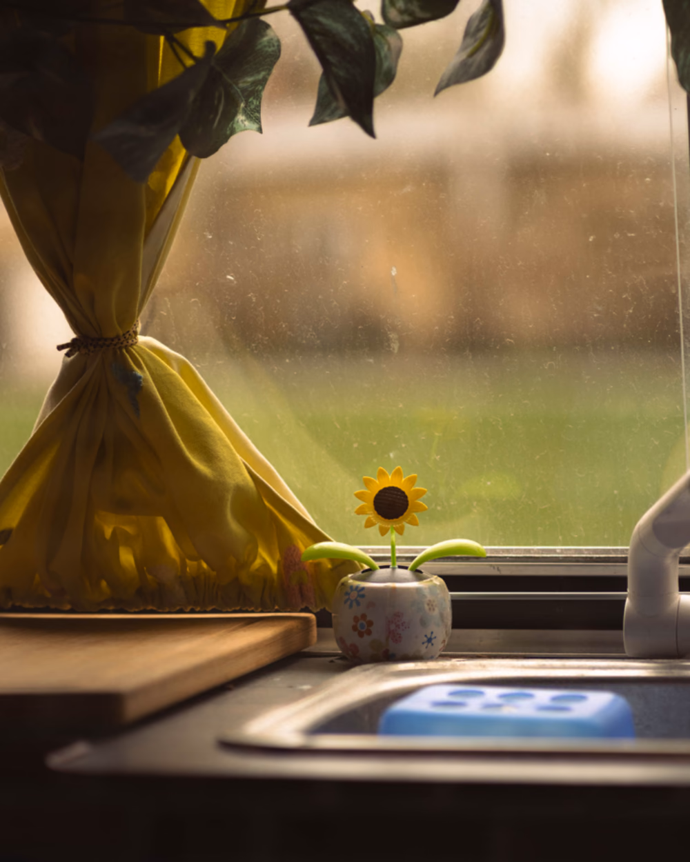 Featured image for Brita vs Waterdrop: Which Water Filter Pitcher to Buy