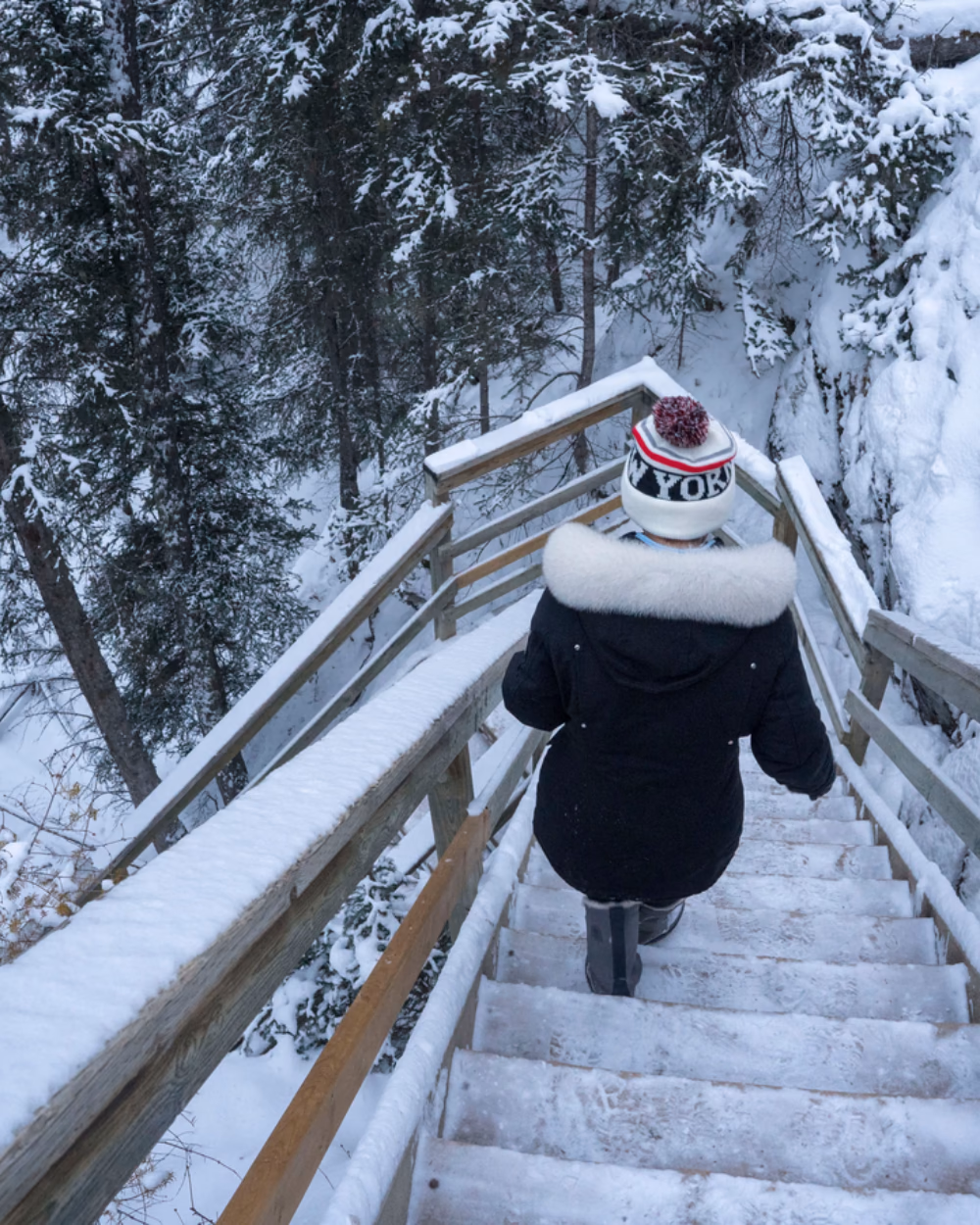 Featured image for The Winter Jacket Shortlist for Women