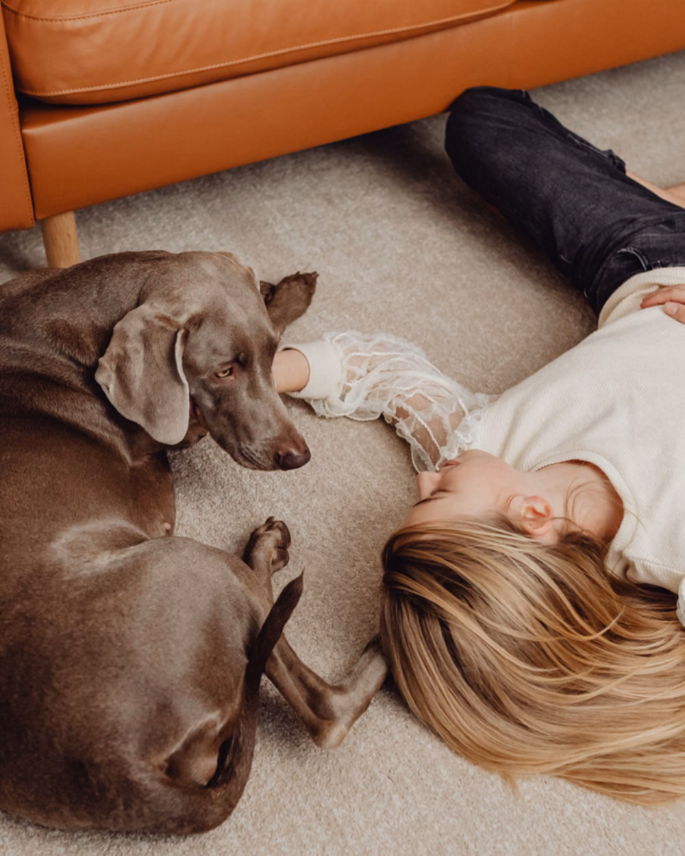 Featured image for How to Get Dog Urine Out of Carpet, and the Smell