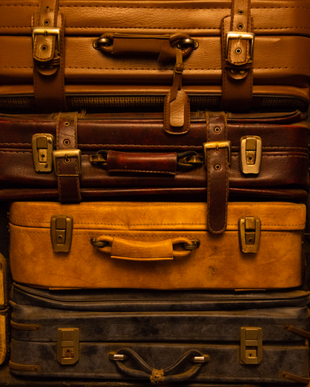 Featured image for Hardside vs Softside Luggage: Which Should You Buy?