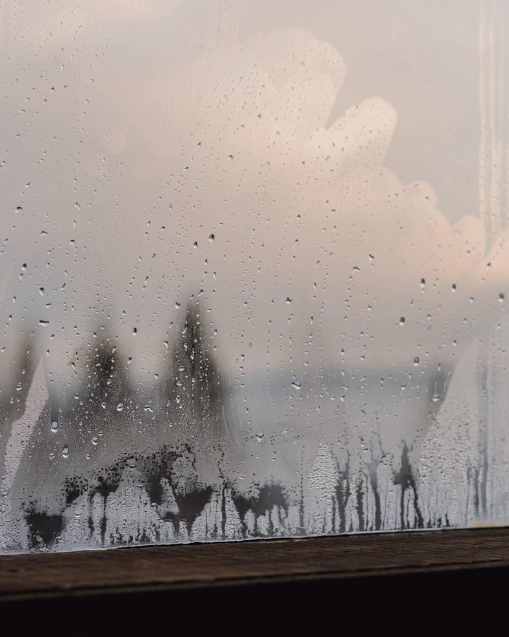 Featured image for The Right Indoor Humidity in Winter, and How to Check It