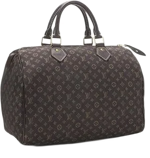 Louis Vuitton Speedy monogram canvas handbag in dark brown