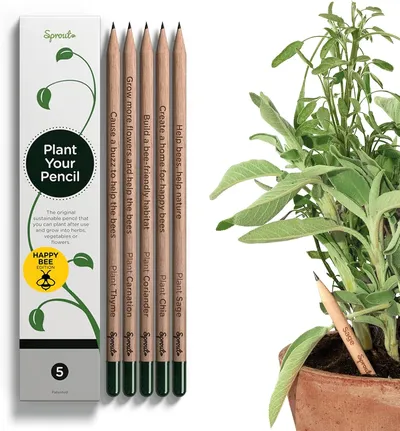 Sprout Pencils