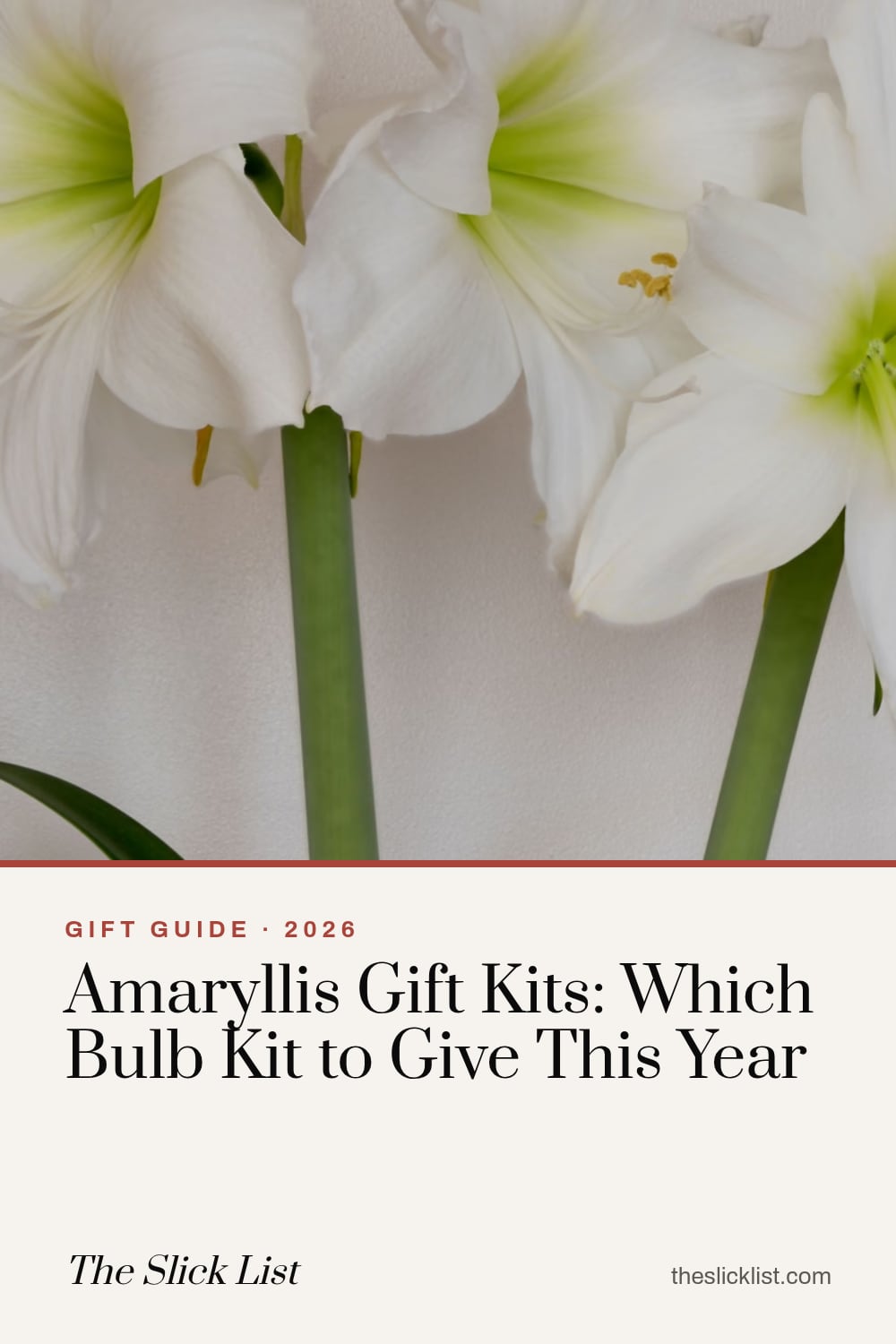 Pinterest image: "Amaryllis Gift Kits: Which Bulb Kit to Give This Year", a gift guide from The Slick List